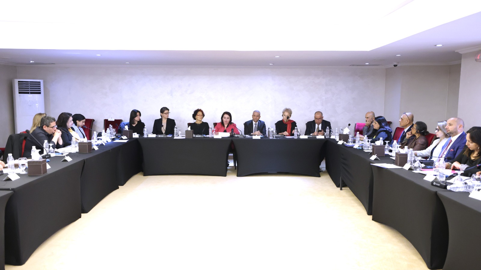Regional Experts Roundtable - Updating 2024 Regional Index on VAWG