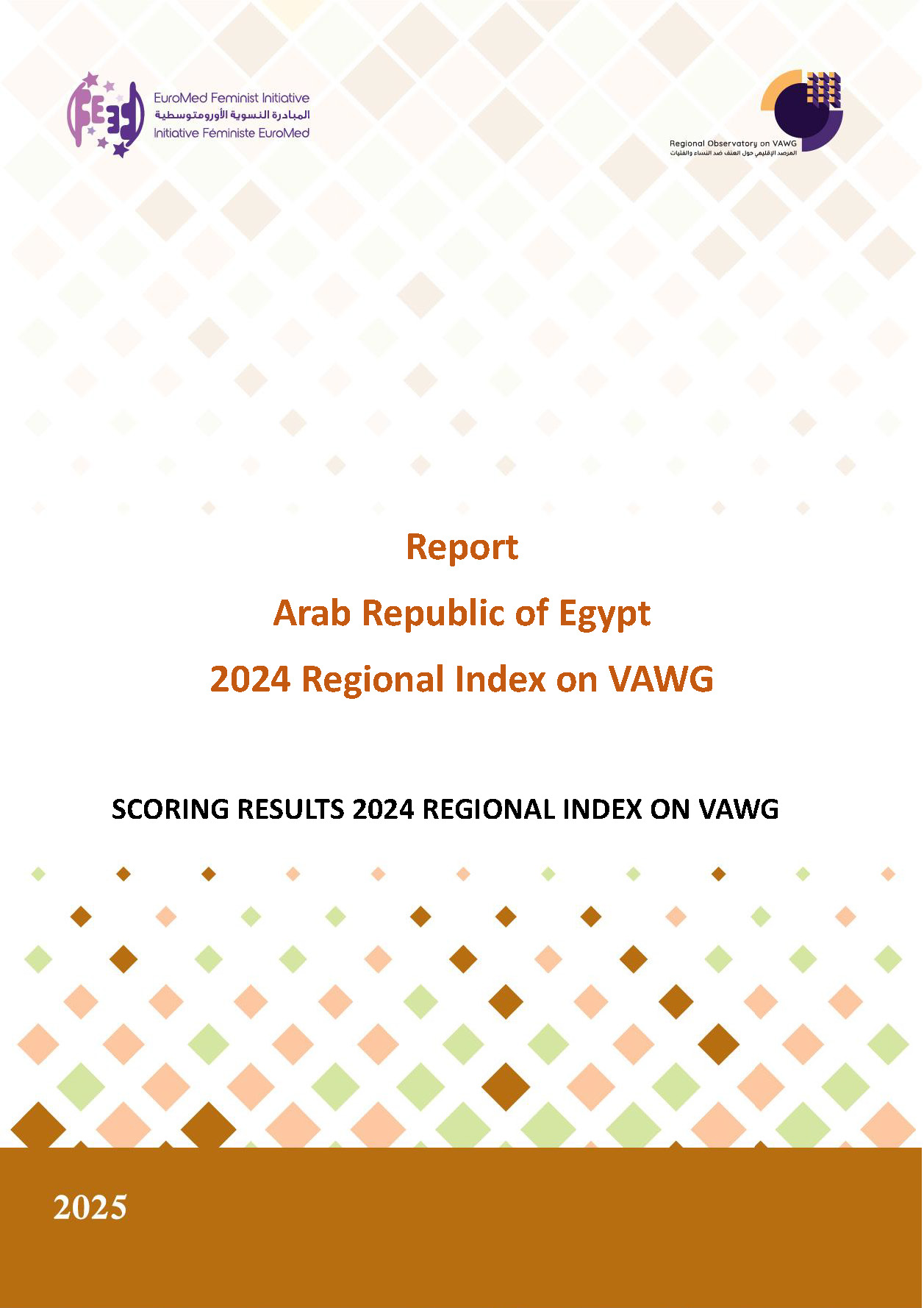 Egypt National Report 2024: Scoring Results of the Regional Index on Violence Against Women and Girls
