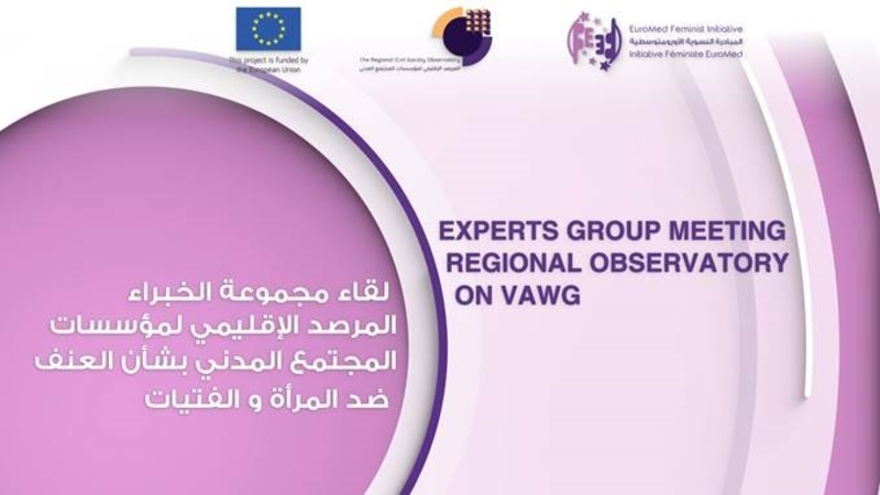 Experts Group Meeting-Cover Experts Group Meeting-Cover