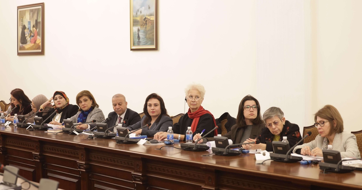 National Experts Roundtable – Updated 2024 Regional Index on VAWG | EFI ...